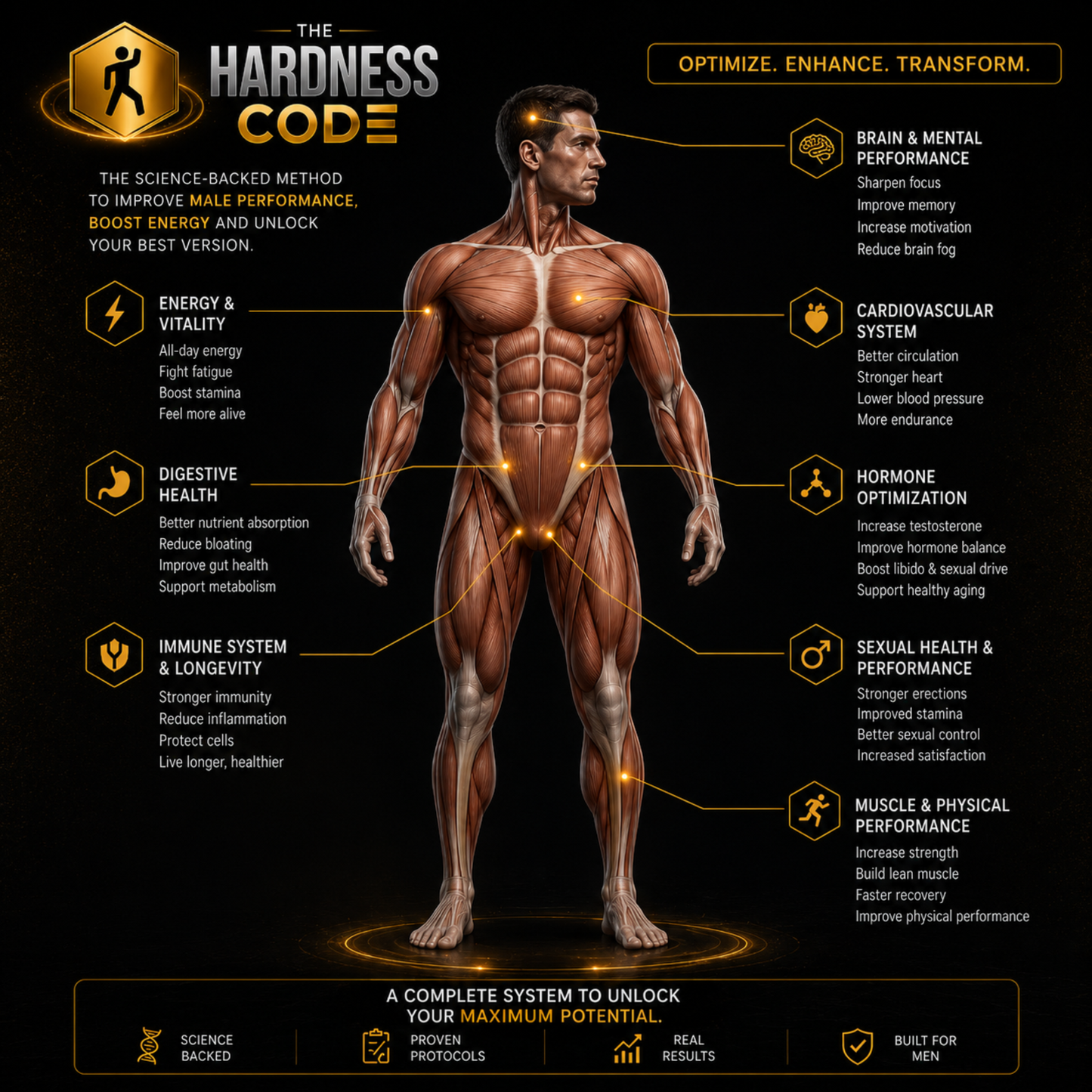 The Hardness Code — Complete Male Pelvic Performance System